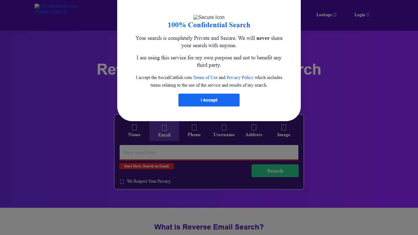 Reverse Email Address Search | People Search - SocialCatfish.com